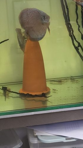 20260219_151044