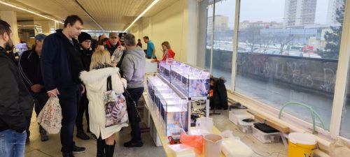 IMG-20260117-WA0000-1024x4601