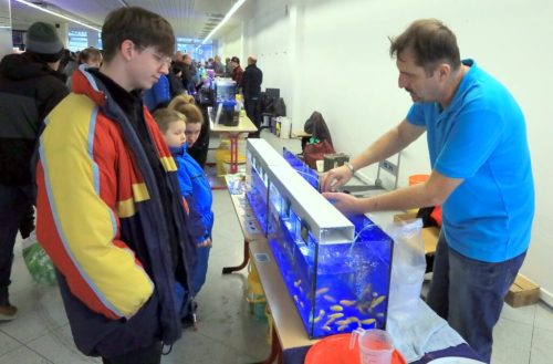 IMG-20260117-WA0018-1024x673